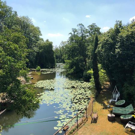 הוילה Annay-sur-Serein Magnifique Moulin Proche Chablis, Jacuzzi Et Riviere מראה חיצוני תמונה