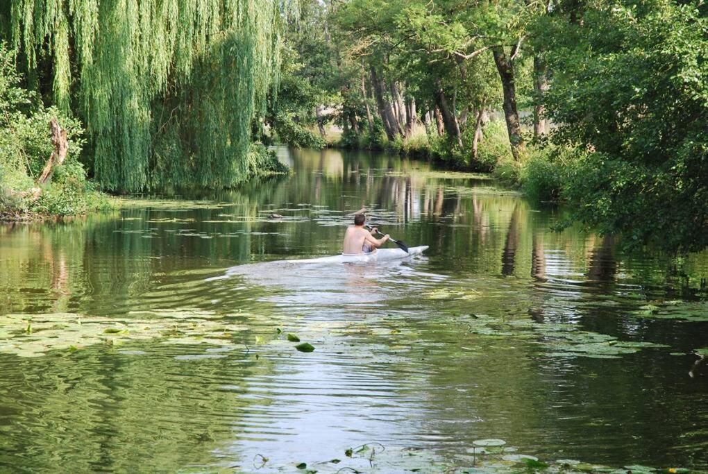 הוילה Annay-sur-Serein Magnifique Moulin Proche Chablis, Jacuzzi Et Riviere מראה חיצוני תמונה