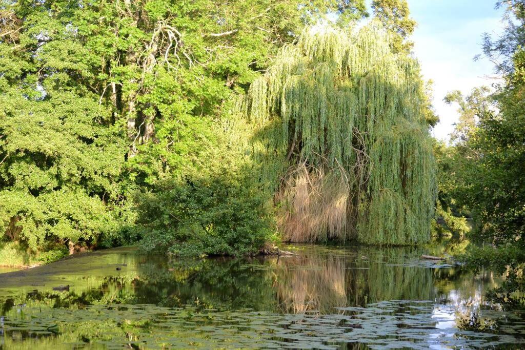הוילה Annay-sur-Serein Magnifique Moulin Proche Chablis, Jacuzzi Et Riviere מראה חיצוני תמונה