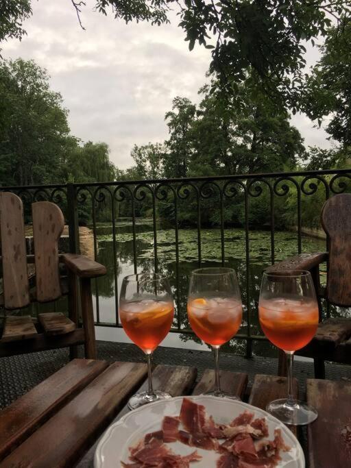 הוילה Annay-sur-Serein Magnifique Moulin Proche Chablis, Jacuzzi Et Riviere מראה חיצוני תמונה