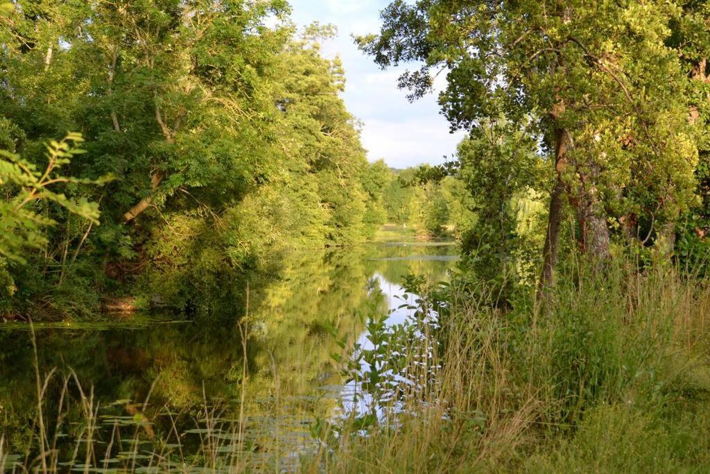 הוילה Annay-sur-Serein Magnifique Moulin Proche Chablis, Jacuzzi Et Riviere מראה חיצוני תמונה