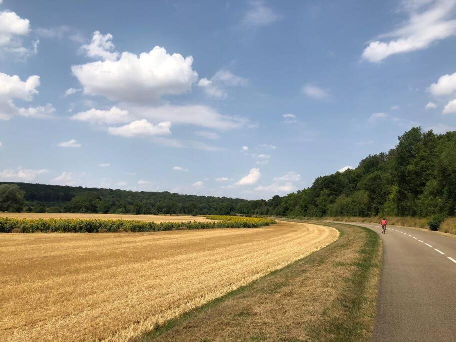 הוילה Annay-sur-Serein Magnifique Moulin Proche Chablis, Jacuzzi Et Riviere מראה חיצוני תמונה