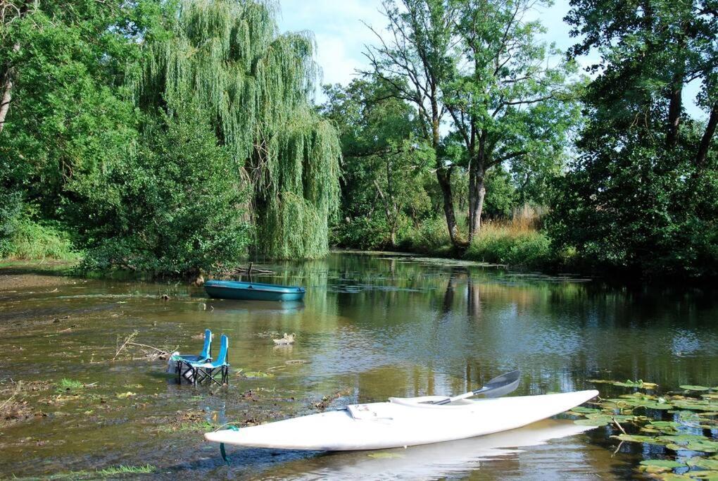 הוילה Annay-sur-Serein Magnifique Moulin Proche Chablis, Jacuzzi Et Riviere מראה חיצוני תמונה