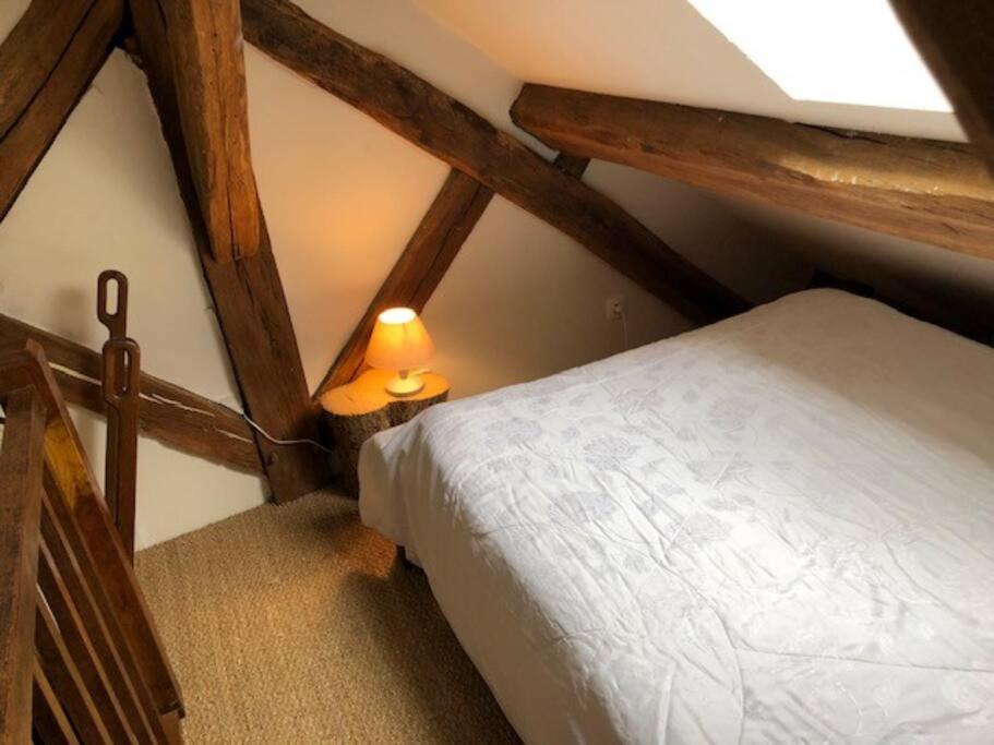 הוילה Annay-sur-Serein Magnifique Moulin Proche Chablis, Jacuzzi Et Riviere מראה חיצוני תמונה