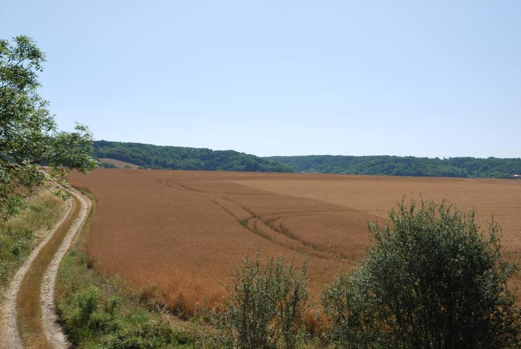 הוילה Annay-sur-Serein Magnifique Moulin Proche Chablis, Jacuzzi Et Riviere מראה חיצוני תמונה
