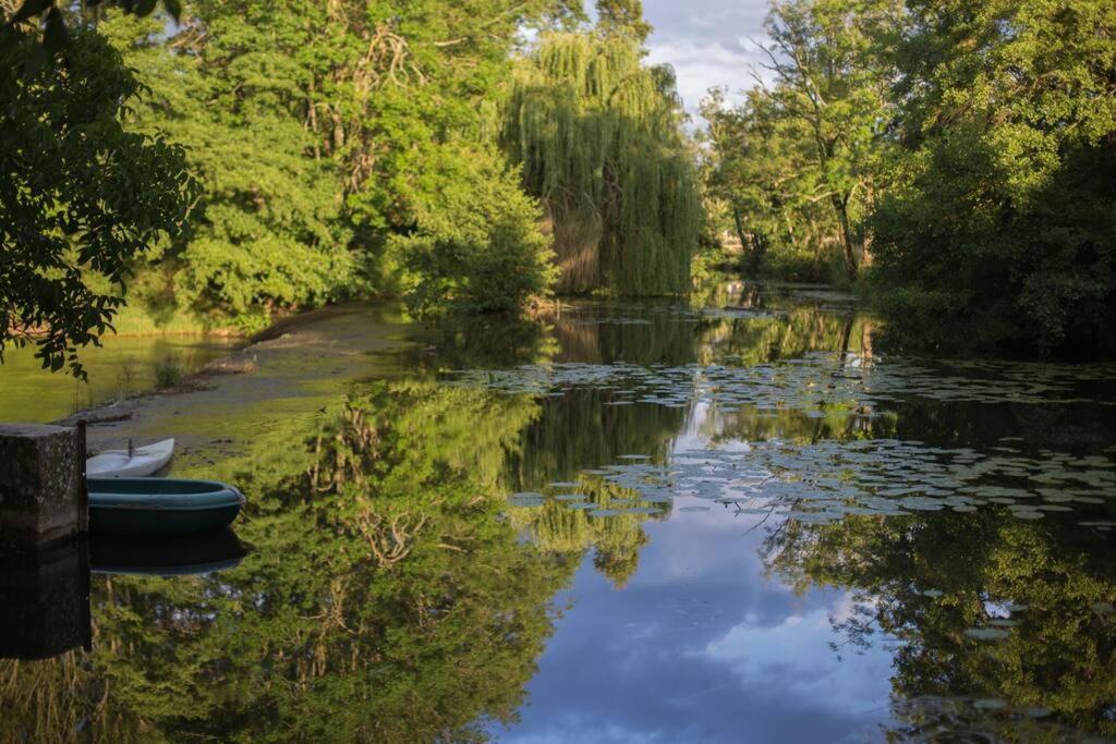הוילה Annay-sur-Serein Magnifique Moulin Proche Chablis, Jacuzzi Et Riviere מראה חיצוני תמונה