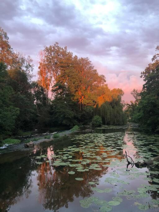 הוילה Annay-sur-Serein Magnifique Moulin Proche Chablis, Jacuzzi Et Riviere מראה חיצוני תמונה