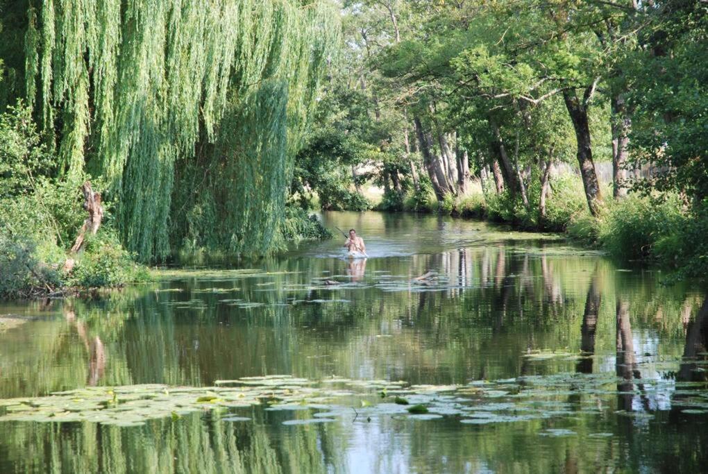 הוילה Annay-sur-Serein Magnifique Moulin Proche Chablis, Jacuzzi Et Riviere מראה חיצוני תמונה