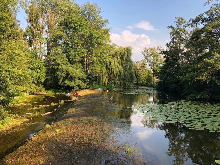 הוילה Annay-sur-Serein Magnifique Moulin Proche Chablis, Jacuzzi Et Riviere מראה חיצוני תמונה