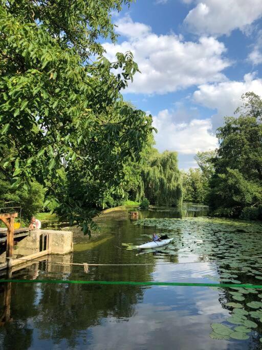 הוילה Annay-sur-Serein Magnifique Moulin Proche Chablis, Jacuzzi Et Riviere מראה חיצוני תמונה