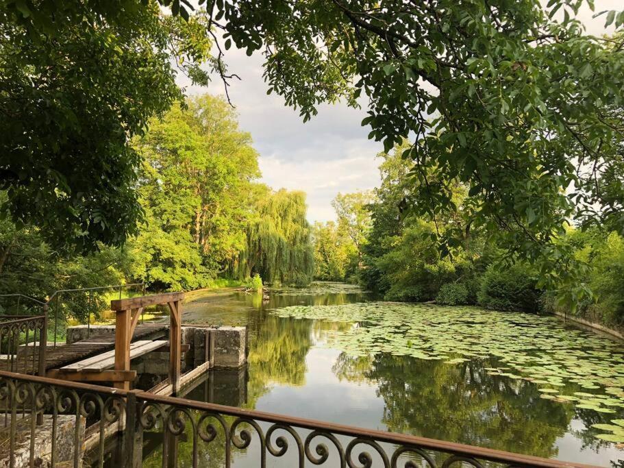 הוילה Annay-sur-Serein Magnifique Moulin Proche Chablis, Jacuzzi Et Riviere מראה חיצוני תמונה